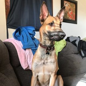 Meet your Posher, Resa